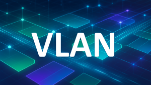 VLAN – die wichtigsten Informationen im Überblick